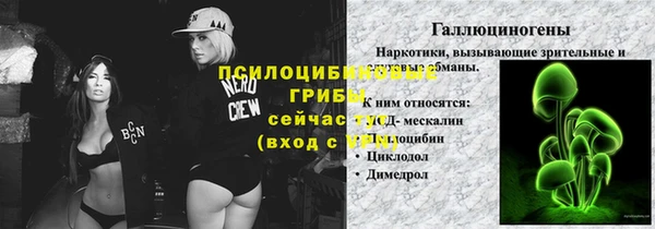 каннабис Белокуриха