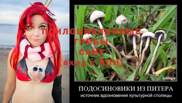 2c-b Беломорск